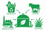 Feedstock types